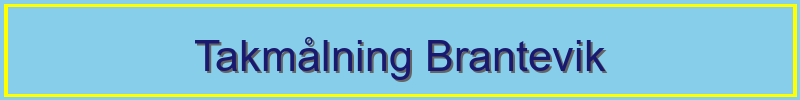 Takmålning Brantevik - professionella taktjänster
